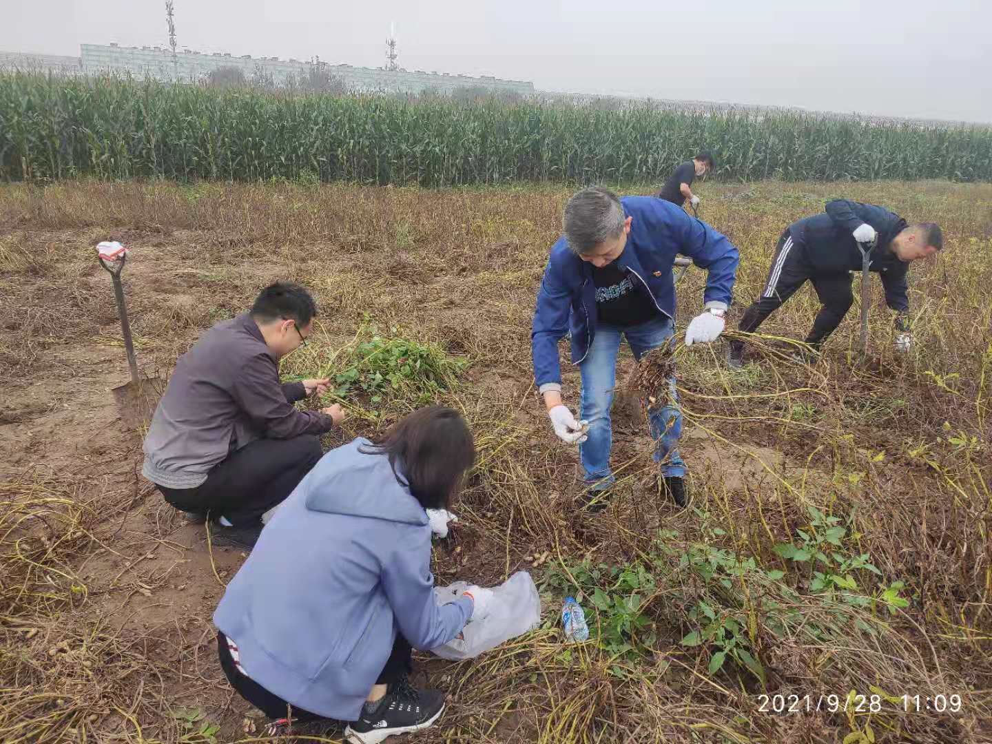 12生肖买马网站